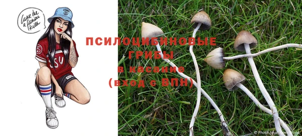 трава Белоозёрский
