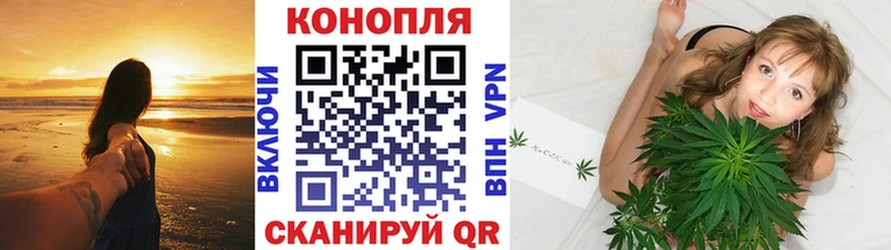 Шишки марихуана SATIVA & INDICA  Шилка 